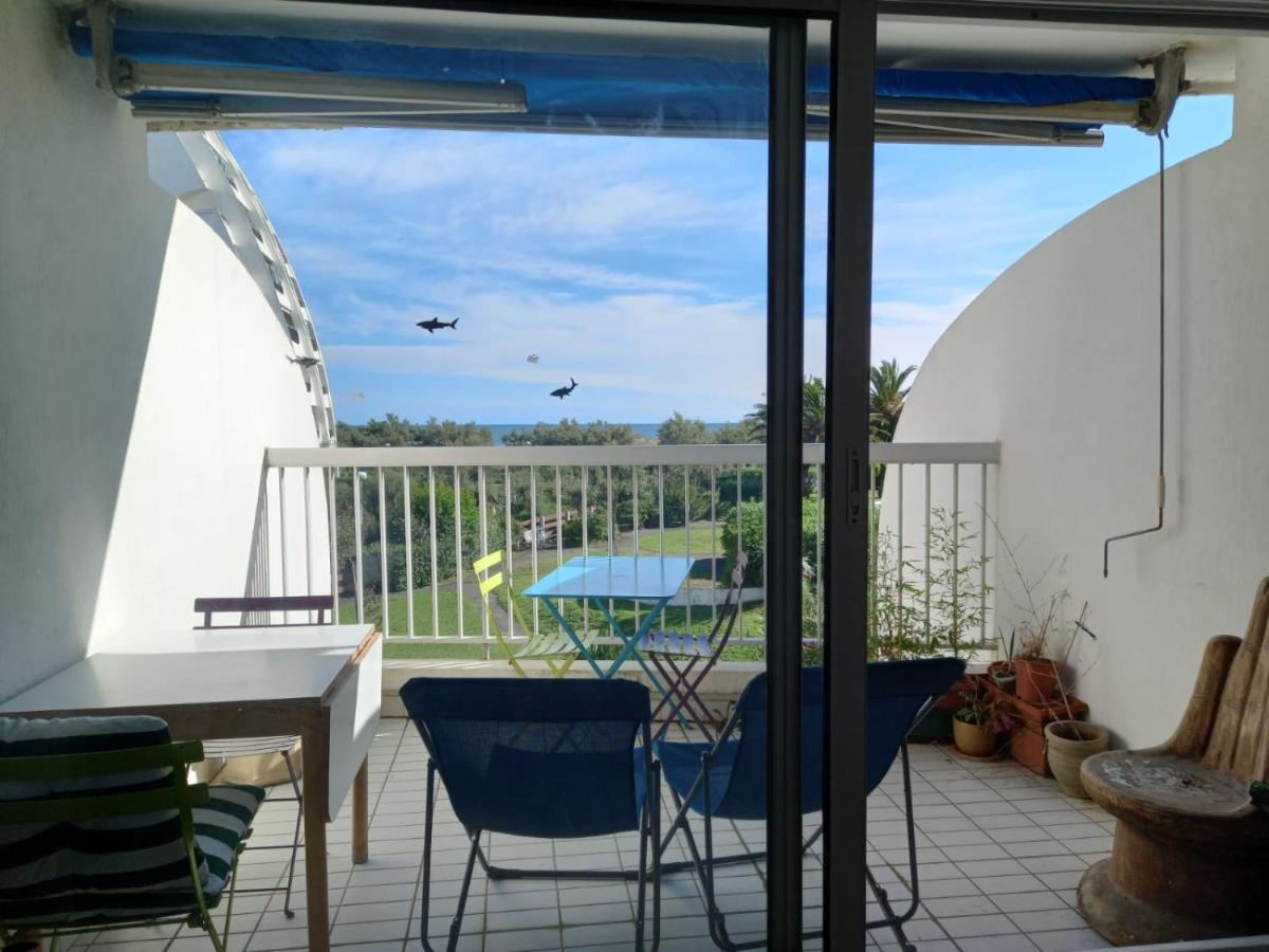 Le Cocon De Flo, Studio Face A La Mer Au Couchant La Grande Motte Luaran gambar